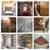 Different Types of Wood Paneling for Accent Walls 1 thumbnail