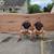 PERGOLAS live edge tables walnut barn wood siding and oak slabs. 16 thumbnail