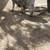 Borrego dorper 5 thumbnail