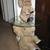 Jaimy Elephant Table & Lamp 6 thumbnail