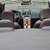 2011 Volvo C70 Hardtop Convertible 16 thumbnail