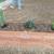 miguel,s landscaping 22 thumbnail