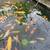 Japanese koi high quality affordable price 5 thumbnail