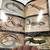 National Autobahn Society Field Guide/Reptiles/Amphibians Pictorial 6 thumbnail