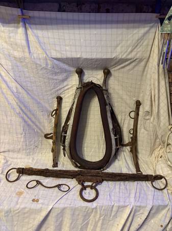Horse collar and accessories 1