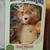 Teddy Ruxpin Mint in Box 1985 WORKS 1 thumbnail