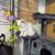 Persian kitten 1 thumbnail