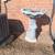 Bird Bath 2 thumbnail