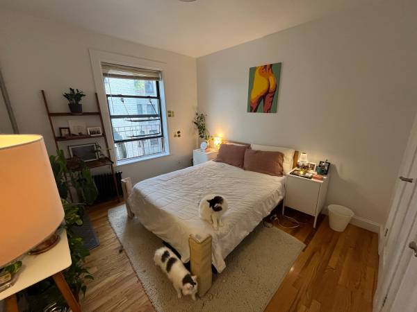 $1,750 / 1br - 700ft2 - BEAUTIFUL, FURNISHED 1 BR FOR 11/15-4/15 - MUST LOVE CATS (Brooklyn)64033801567363123