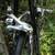 Quintanana Roo kilo Roed Bike 8 thumbnail