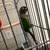 Conure 3 thumbnail