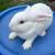 Weaned rabbits 11 thumbnail
