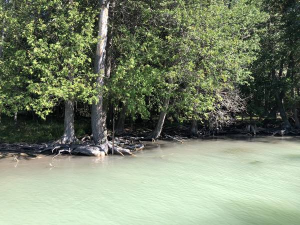 $199,000 / 770140ft2 - 17.68 Acres with 150' of Waterfront on the Crooked River (Alanson)64308161799170123