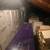 ATTIC clearing 1 thumbnail