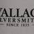 2 WALLACE SILVERSMITH'S SILVER PLATED SERVING SPOONS IN PRESENTATION B 2 thumbnail