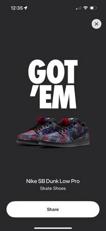 Nike x Nardwuar SB Dunk Low “Tartan” 1