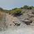 Just Reduced! Vacant Lots for Sale- 2415 N San Marco Dr 5 thumbnail