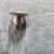 Snap-on tools 3/8" drive finger spinner ratchet 6 thumbnail