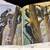 A Natural History of American Birds of Eastern & Central North America 6 thumbnail
