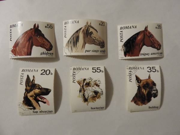 Posta Romana Animal Stamps - 6 Stamps 1