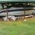 1988 Celebrity Fiberglass boat 2 thumbnail
