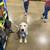 AKC Golden Retriever 3 thumbnail