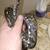 IMG Het Sharp Male Boa 2 thumbnail