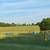 Dog boarding 2 thumbnail