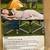 Folding Camping  Cot PRICE REDUCED 1 thumbnail