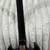 Black Epiphone SG Special !!! 5 thumbnail