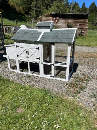 Chicken Coops 1