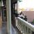 JOMTIEN THIP CONDOTEL 64 SQ.M. RESIDENTIAL CONDOMINIUM FOR SALE 6 thumbnail