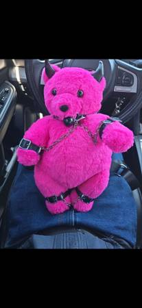Lost Bear Backpack 1