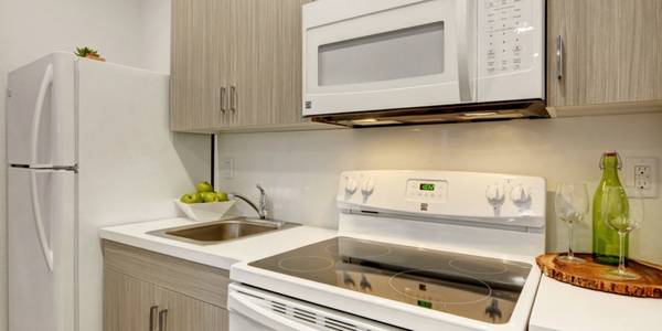 $409 Rent by the week or month, Siegel Rewards Program, Studio63859497322243123