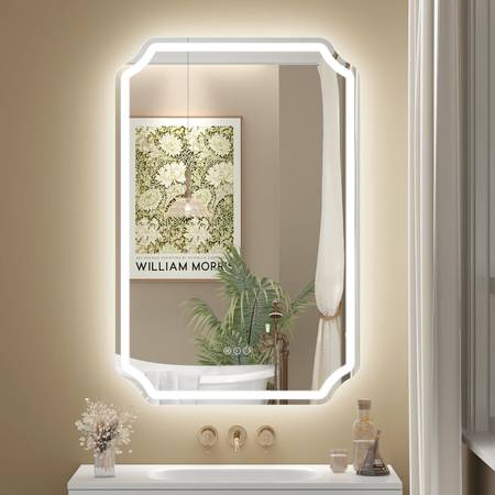 LED Light Bathroom Mirror, Front Light & Backlit, Touch Buttons 24x36 1