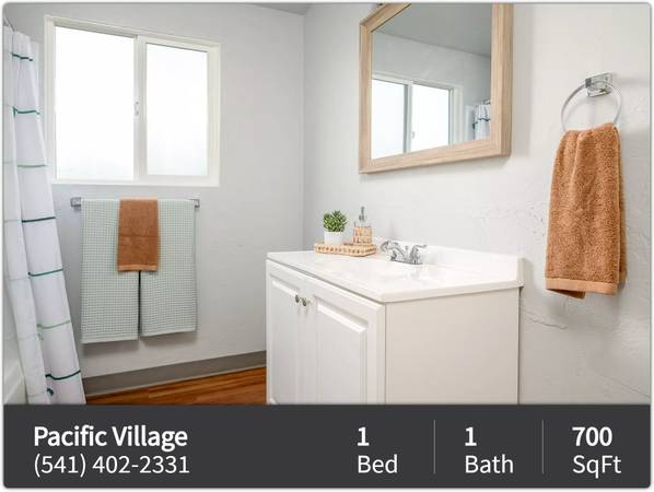 Wonderful 700 sq ft 1 bed / 1 bath designed with urban elegance 1