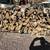 Firewood 6 thumbnail