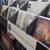 Vintage Pre-Owned and/or USED Vinyl records 20 thumbnail