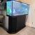 75 Gallon Tank 2 thumbnail