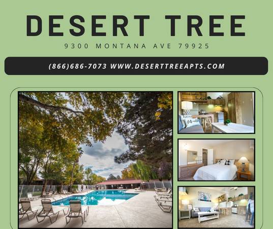 LIVING AT DESERT TREE IS THE BEST! APPLY NOW! 1