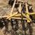 Disc Harrow Plow- 3 point Tractor Heavy Duty 2 thumbnail