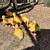 Call ducks 1 thumbnail