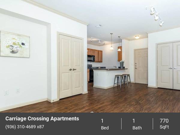 $1,031 / 1hab - 770ft2 - Trabaje y relájese con áreas de estudio o despacho en el hogar (Waller)63924168762627122