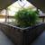 Chii Sai Apts..Gorgeous Studio...Great Price Westside Location!!! 3 thumbnail
