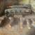 Propane Fireplace Burner and Ceramic Log Set 4 thumbnail