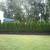 EVERGREEN SCREENING. HEDGES, PRICACY WALLS ETC 7 thumbnail