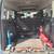 2019 Ford Transit connect XLT Handicap van 10 thumbnail