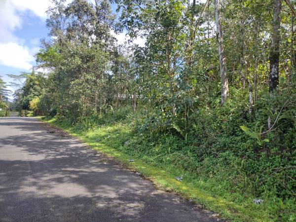 $12,000 / 8040ft2 - Excelente terreno en camino pavimentado (Nanawale Estates (Pahoa))63939392322179120