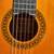 Alvarez Regent Classical Guitar 4 thumbnail