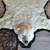 Polar Bear Skin Rug for Barter 6 thumbnail